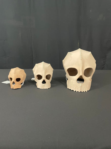 Leather Skulls